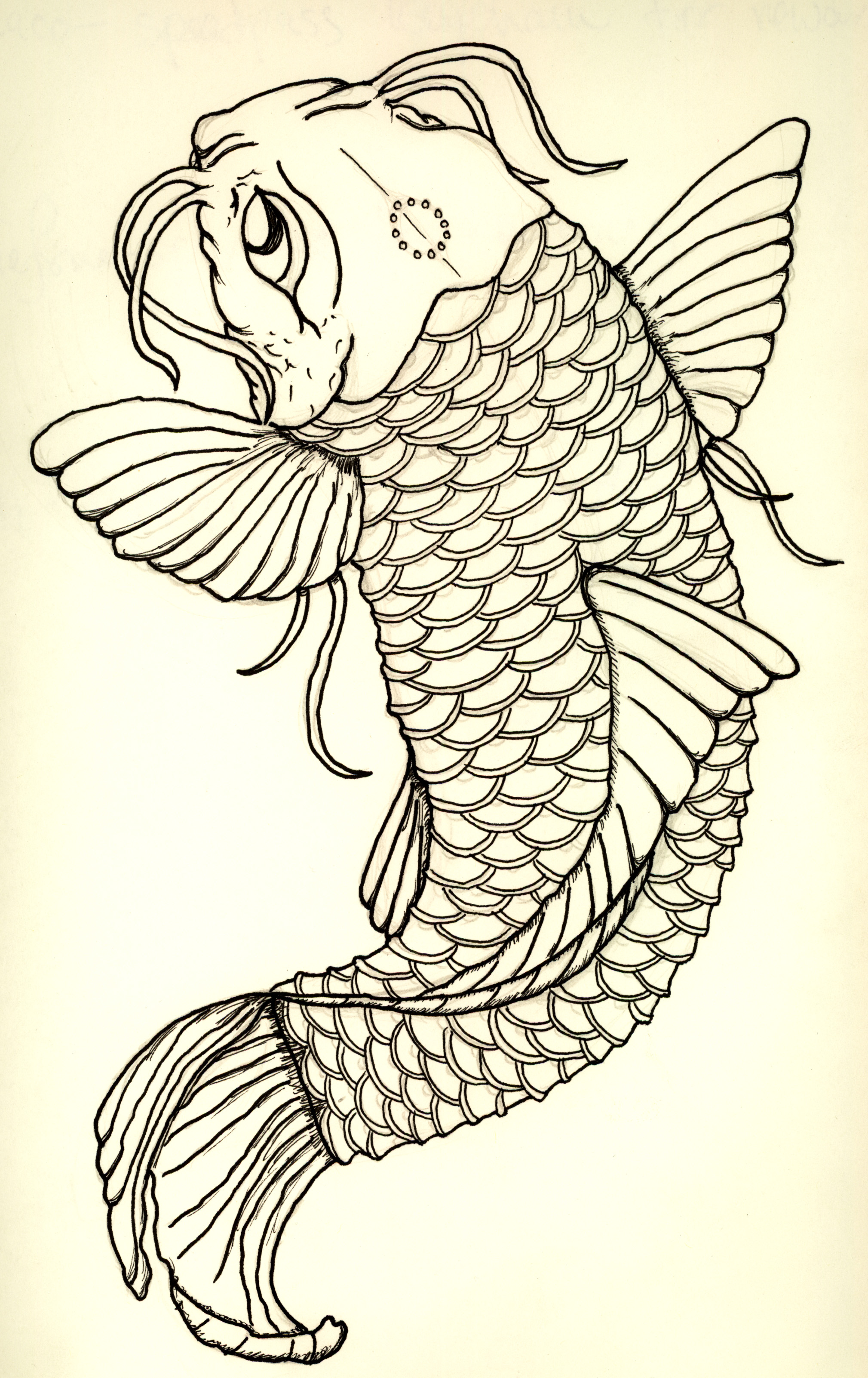 koi tattoo - Koi Fish Japanese