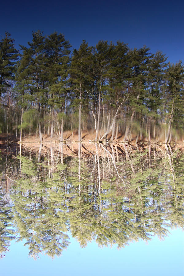 Annie Swier - Brown's Pond Reflection 2